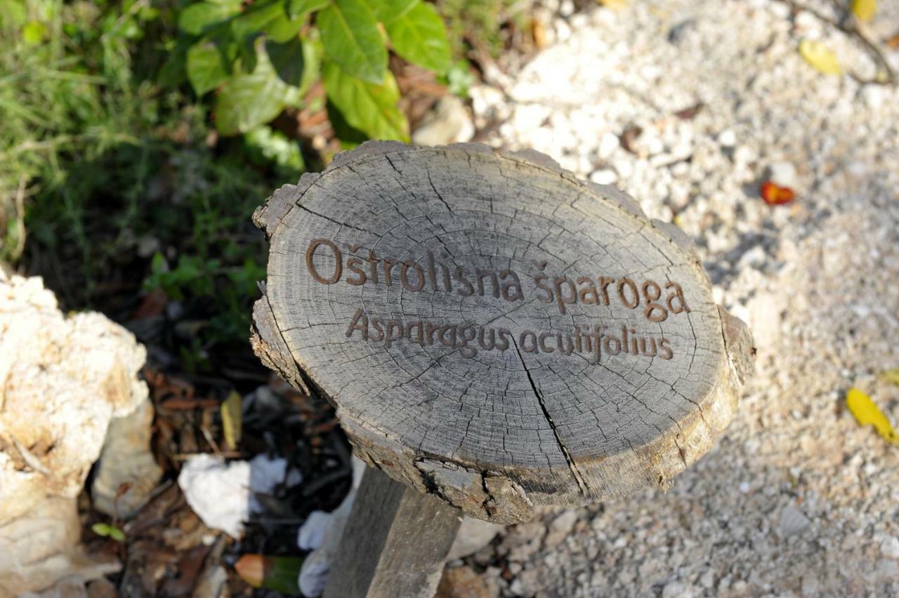 Grandpa Mate House Villa Dragove Exterior foto